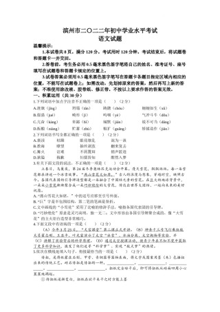 2022年山东省滨州市中考语文真题.docx