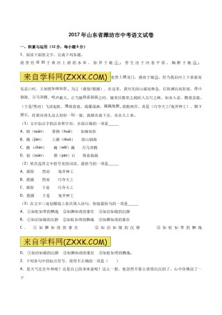 2017年山东省潍坊市中考语文试题及答案.doc