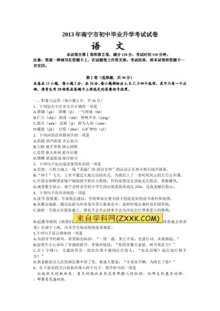 2013年广西南宁市中考语文试卷及解析.doc