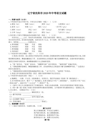 2020年辽宁省沈阳市中考语文试题及答案.doc