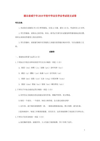 湖北省咸宁市2019年中考语文真题试题.docx