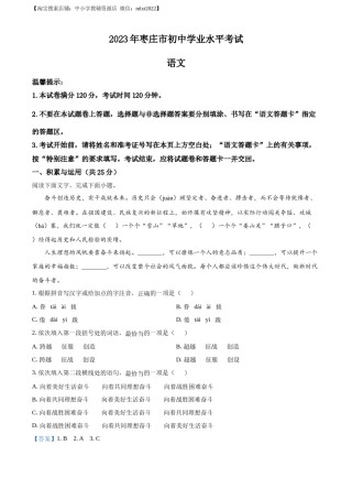 精品解析：2023年山东省枣庄市中考语文真题（解析版）.docx