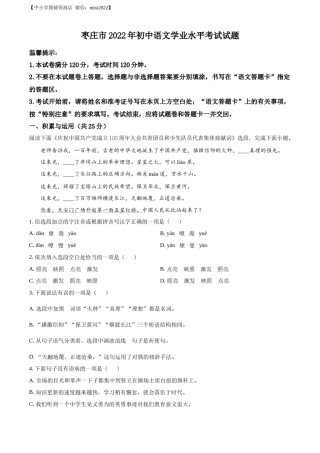 精品解析：2022年山东省枣庄市中考语文真题（原卷版）.docx