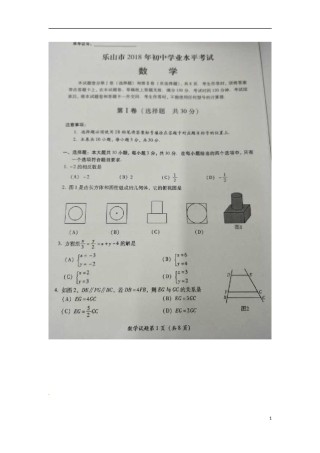 四川省乐山市2018年中考数学真题试题（扫描版，含答案）.doc
