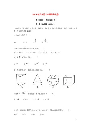 四川省泸州市2019年中考数学真题试题.docx