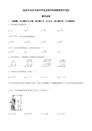 甘肃省金昌市2020年中考数学试题.docx