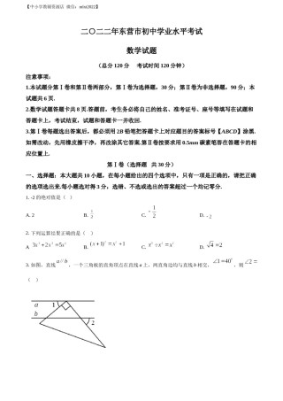 精品解析：2022年山东省东营市中考数学真题（原卷版）.docx