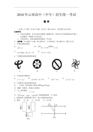 2010年云南省中考数学试卷及答案（word版）.doc