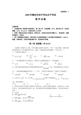 2009年山东省潍坊市中考数学试题及答案.doc