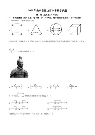 精品解析：2022年山东省潍坊市中考数学真题（原卷版）.docx