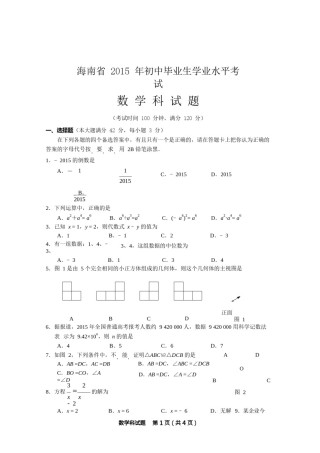 2015年海南中考数学试题及答案.doc