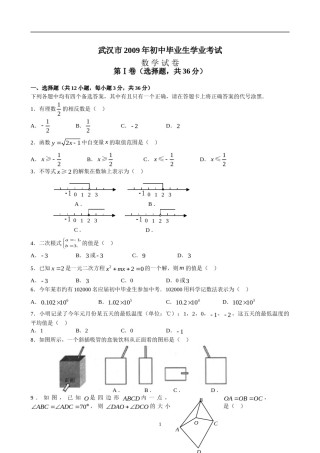 2009年武汉市中考数学试题及答案.doc