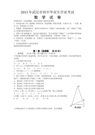 2013年武汉市中考数学试题及答案.doc
