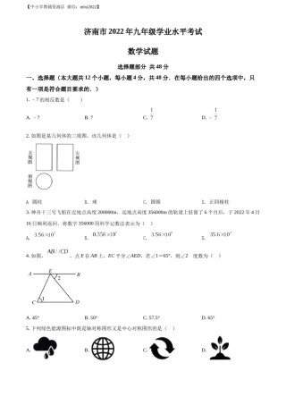 精品解析：2022年山东省济南市中考数学真题（原卷版）.docx