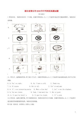 湖北省黄石市2018年中考英语真题试题（含解析）.doc