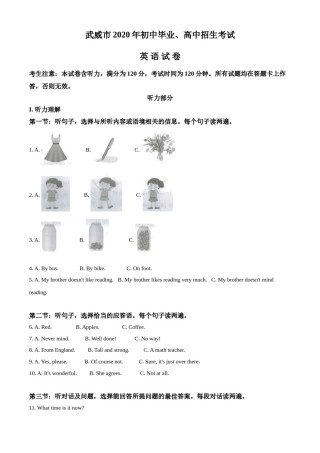精品解析：甘肃省武威市2020年中考英语试题（解析版）.doc