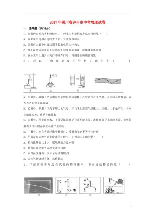 四川省泸州市2017年中考物理真题试题（含解析）.DOC