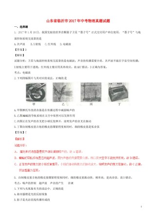 山东省临沂市2017年中考物理真题试题（含解析）.DOC