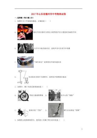 山东省德州市2017年中考物理真题试题（含解析）.DOC