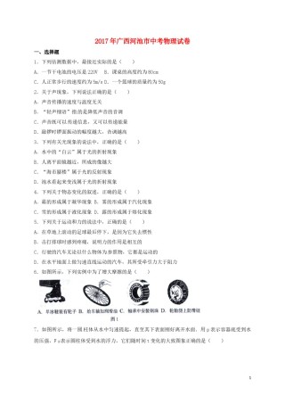 广西河池市2017年中考物理真题试题（含答案）.DOC