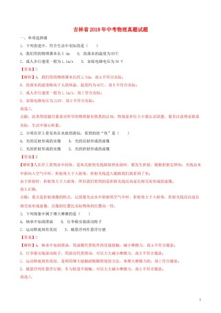 吉林省2018年中考物理真题试题（含解析1）.doc