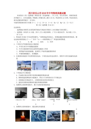 四川省乐山市2018年中考物理真题试题（含答案）.doc