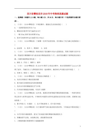 四川省攀枝花市2018年中考物理真题试题（含解析）.doc