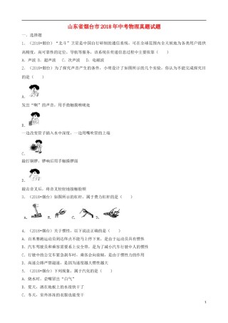 山东省烟台市2018年中考物理真题试题（含解析）.doc