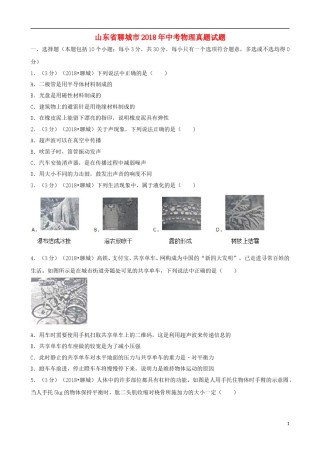 山东省聊城市2018年中考物理真题试题（含解析）.doc