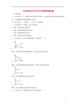 山东省青岛市2018年中考物理真题试题（含解析）.doc