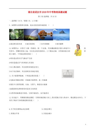 湖北省武汉市2018年中考物理真题试题（含答案）.doc