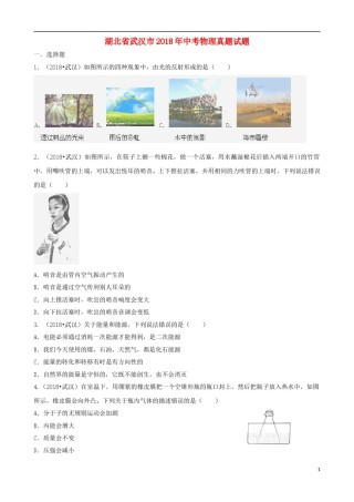 湖北省武汉市2018年中考物理真题试题（含解析）.doc