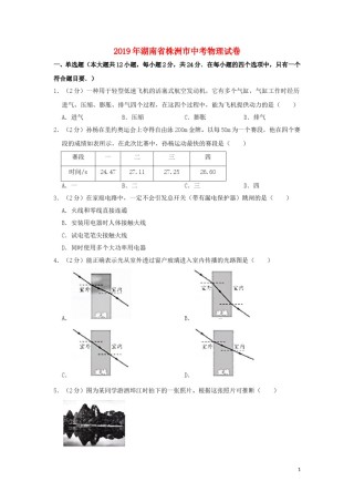 湖南省株洲市2019年中考物理真题试题（含解析）.doc