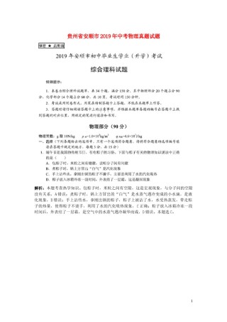 贵州省安顺市2019年中考物理真题试题（pdf，含解析）.docx