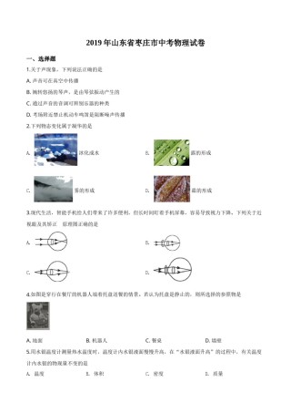 精品解析：2019年山东省枣庄市中考物理试题（原卷版）.doc