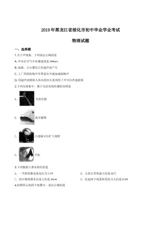 精品解析：2019年黑龙江省绥化市中考物理试题（原卷版）.doc