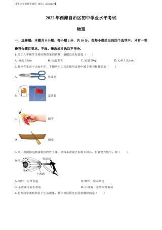 精品解析：2022年西藏自治区中考物理试题（原卷版）.docx