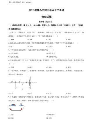 精品解析：2022年山东省青岛市中考物理试题（原卷版）.docx