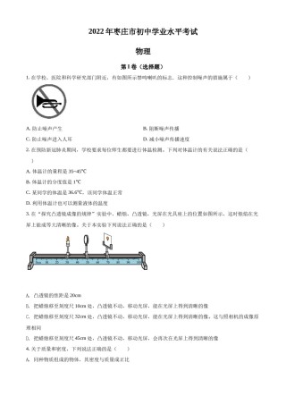 精品解析：2022年山东省枣庄市中考物理试题（原卷版）.docx