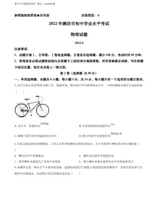精品解析：2022年山东省潍坊市中考物理试题（原卷版）.docx