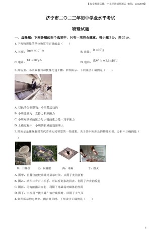 精品解析：2023年山东省济宁市中考物理试题（原卷版）.docx