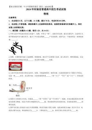 精品解析：2024年河南省中考物理试题（原卷版）.docx