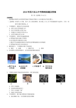 2016年四川乐山中考物理真题及答案.doc