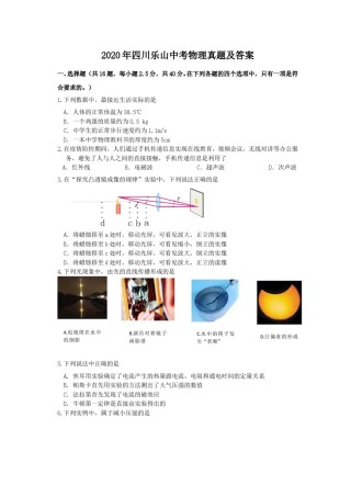 2020年四川乐山中考物理真题及答案.doc