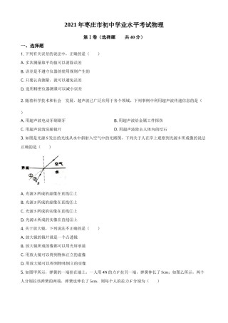 2021年山东省枣庄市中考物理真题.doc
