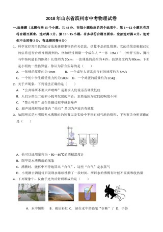 2018滨州中考物理试题.doc