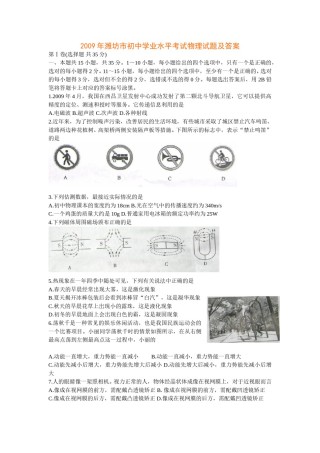 2009年山东潍坊市中考物理真word版含答案.doc