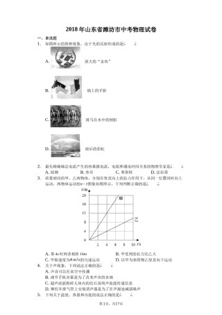 2018年山东潍坊市中考物理真word版含答案.docx
