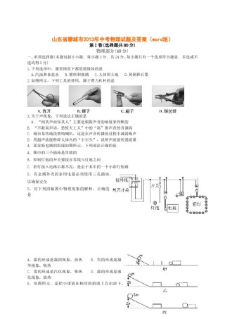 2013年聊城市中考物理试题及答案.doc