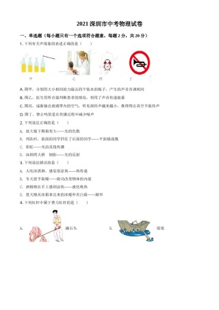 2021年广东省深圳市中考物理试题（原卷版）.doc